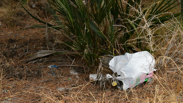 Garbage Bags in a Forest