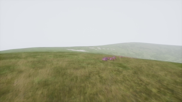 Aerial Green Hills Landscape in Fog alt