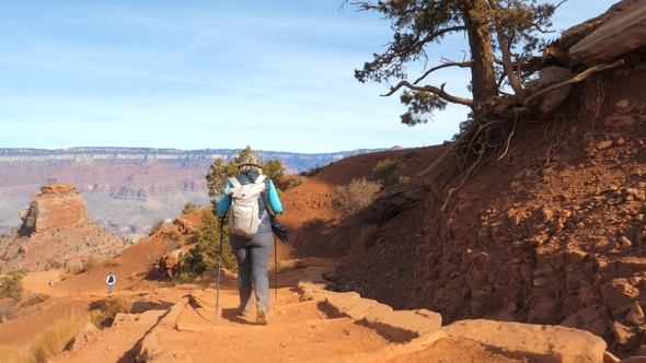 Woman With Backpack Hiking On Trekking Footpath In Grand Canyon Arizona USA