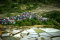 Village houses near rice terraces fields. Amazing abstract textu - PhotoDune Item for Sale