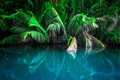 Fantasy landscape of tropical lake - PhotoDune Item for Sale