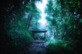 Mysterious foggy forest with wooden bridge and pavilion - PhotoDune Item for Sale