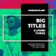 Big Titles & Lower Thirds - VideoHive Item for Sale