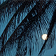 Tropical Night with View of Moon, Palm Tree in Holiday Paradise - VideoHive Item for Sale
