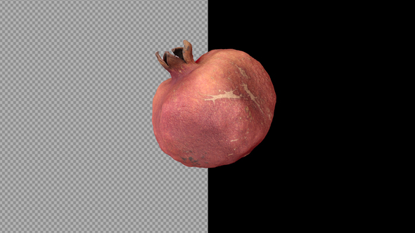 3d Garnet Fruit