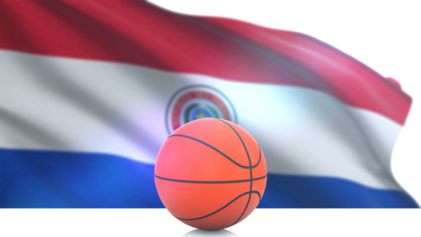 Basketball with Paraguay Flag alt
