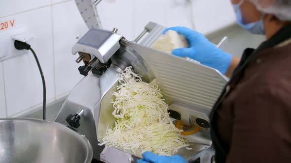 Cooking. Close-up. Cuisine Worker, in Protective Gloves, Cuts Fresh Cabbage on an Electric Shredder