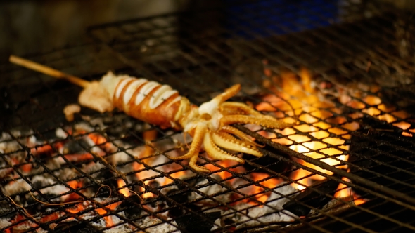 Squid Cooked on the Grill Grate in Night Food Market, Thailand Street Food Thailand
