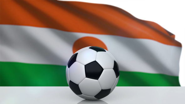 Soccer Ball with Niger Flag alt