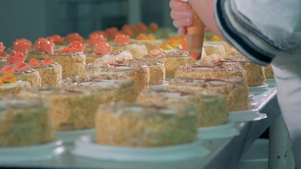 Worker Decorating Cakes Using Cream in the Industrial Confectionery.