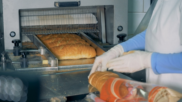Worker Puts Sliced Loaf Into a Cellophane Package.