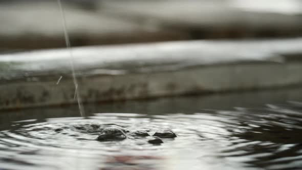 Bubbles In A Fountain