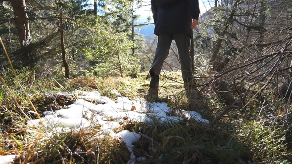  Young Man Walking on Mountain Pine Forest 