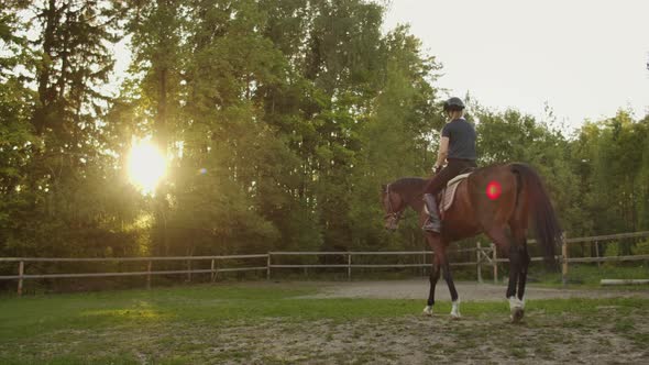 Magical Equitation on a Sunny Day