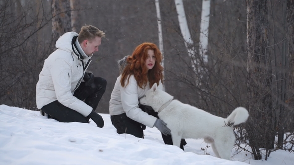 Couple Stroking Dog in Winter Forest