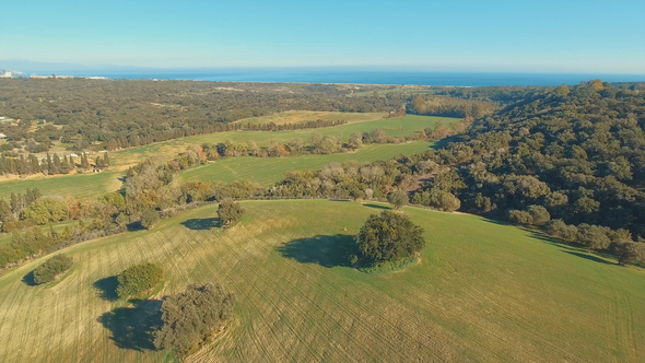 Flying Above Mediterranean Hills Landscape with View of Sea, Green Fields with Trees