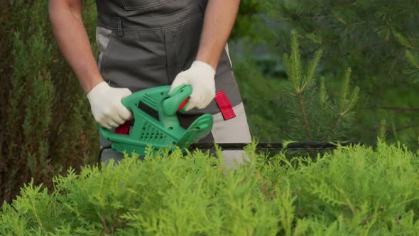 Male Gardener in a Protective Suit Prunes Bushes with an Electric Trimmer