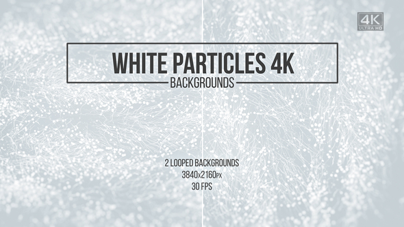 White Particles Abstract Backgrounds