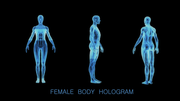 Female Muscular System Hologram alt