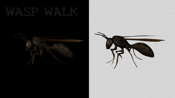 Cartoon Wasp Walk alt