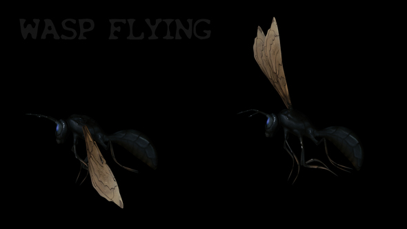 Cartoon Wasp Fly alt