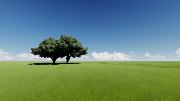 Oaks on a Green Field alt