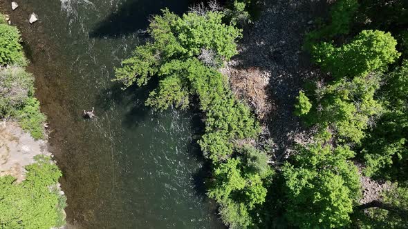 Aerial view looking down at the Provo River with person fly fishing