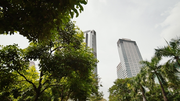 Skyscrapers Against the Backdrop of Palm Trees. Makati District in Manila