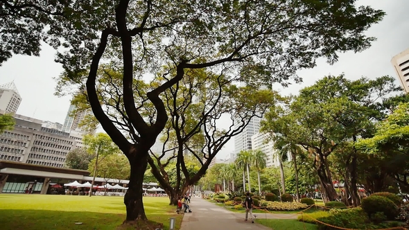 Gardens and Skyscrapers Seen at Ayala Triangle Park, in Makati, Metro Manila.