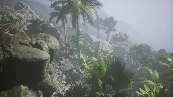 Mountain and Field Landscape with Palms alt