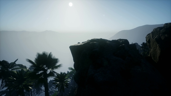 Sunset Beams Through Palm Trees alt