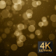 Golden Dreams Particles - VideoHive Item for Sale