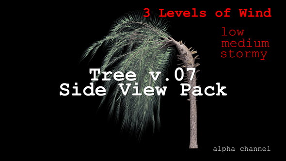 Tree v. 07 Side View Pack