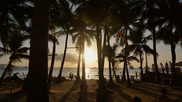 Beach with Silhouettes of Tourists Among Palm Trees on the Island of Boracay