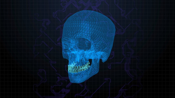 Digital Cyber Skull Head  alt
