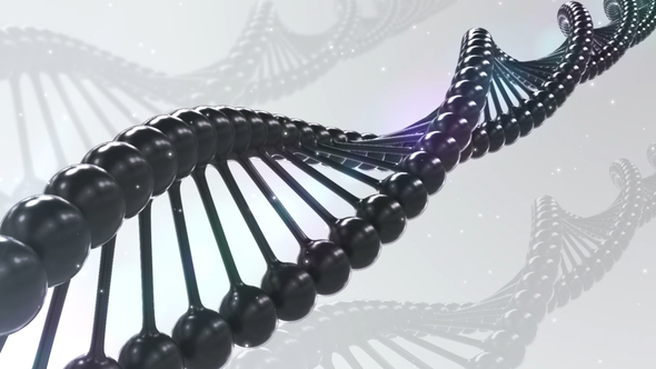 DNA Molecule Loop