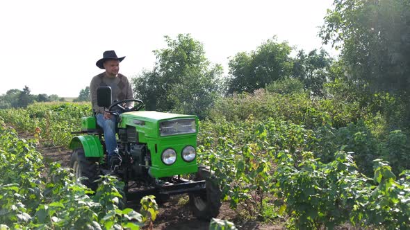 Broken Minitractor in the Field the Worker Can Not Drive