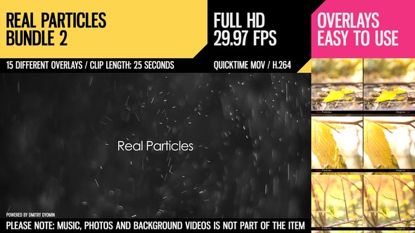 Real Particles Bundle 2 (Heavy Particles)