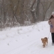 Girl and Dog Are Running along Snowy Road in Winter Snowstorm - VideoHive Item for Sale