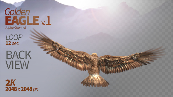 Golden Eagle-1 Back View alt