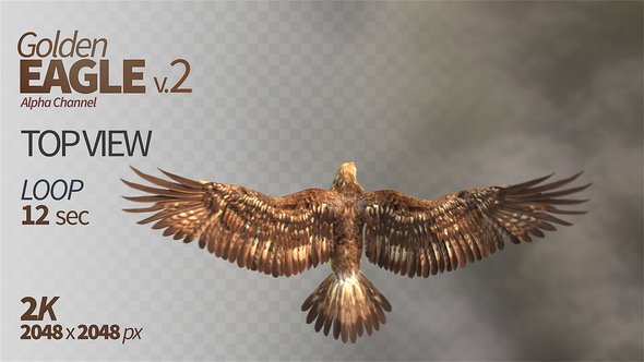 Golden Eagle-2 Top View alt