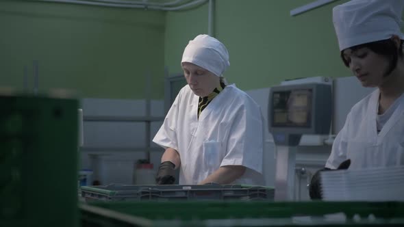 Female Workers in Black Proective Gloves Prepare Fresh Meat for Delivery to Stores