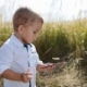 Adorable Toddler-boy Stands in the Middle of High-grass, Holds the Smartphone, Being a Young Blogger - VideoHive Item for Sale
