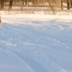 Happy Dog Is Running along White Snowy Road in Park - VideoHive Item for Sale