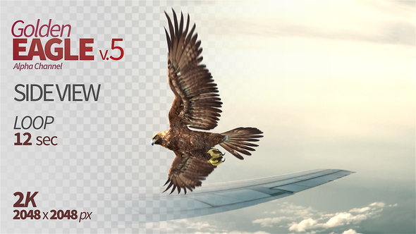 Golden Eagle-5 Side View alt