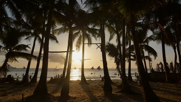 Beach with Silhouettes of Tourists Among Palm Trees on the Island of Boracay