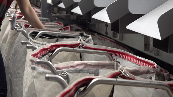 Staff Working at the Automated Parcel Sorting System Filling Bags