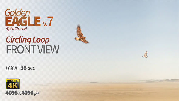 Golden Eagle-7 Circling Loop alt