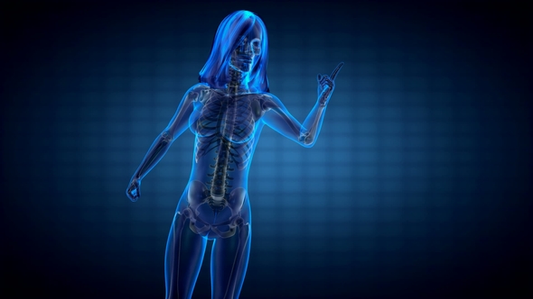 Human Bones Radiographic Scan alt