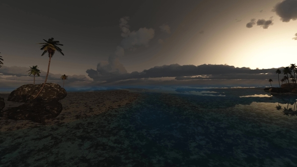 Tropical Island with Palms alt